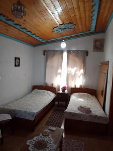 Villa Zeko
