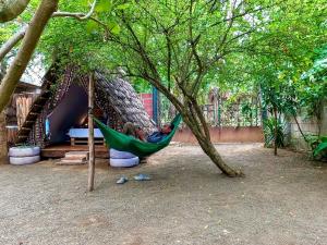Arusha Jua Eco Home- on coffee farm