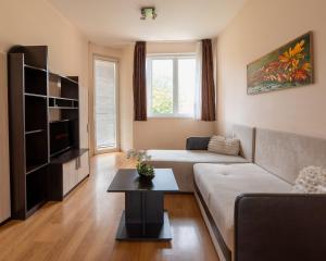 One-Bedroom Apartment in the City Center