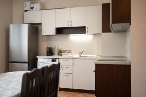 One-Bedroom Apartment in the City Center