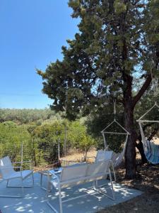 Real Holidays Antoniadou - Rustic House