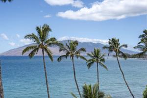 KAMAOLE NALU, #405