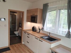 Apartmán Jenny - Malé Lipno