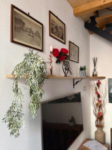 Rosa Life House