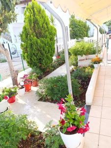 Vila Erjoni