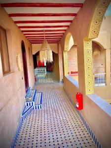 Riad camels house