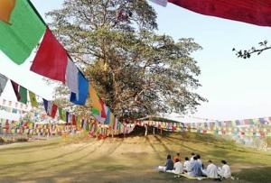 Hotel MAQ Lumbini
