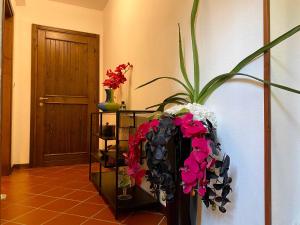 Pozzo Di Mezzo B&B