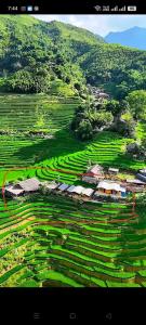 Black Hmong Sapa Homestay Family