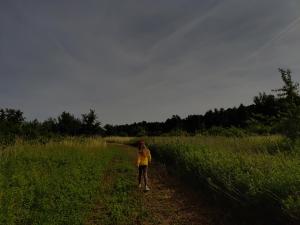 Zielona Przystań