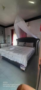 Nangin View HOTEL Orang utan tour & trekking