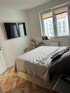 Apartament MK Sady