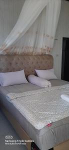 Nangin View HOTEL Orang utan tour & trekking