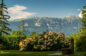 Panoramic Forest Chalet Bled Lake and Castle View