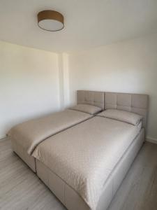 Apartment by Luka