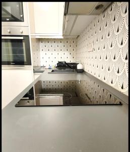 Deluxe Two Bedrooms Apartment in Budapest Center