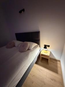 Apartamenty Agro Roś