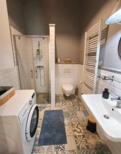 Spacious Modern 2 bedrooms apartment in the city Center