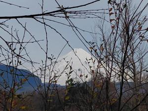 Pucon Hub