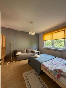Apartament w sercu Orłowa