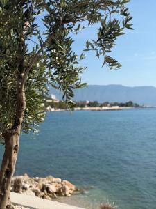 CasaViola Vlore Albania