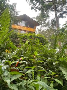 Mud and Wooden Cabin