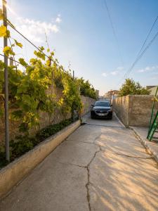 CasaViola Vlore Albania