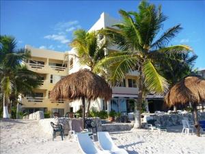 La Tortuga beachfront condo, pool, turtles nest