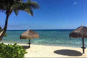 La Tortuga beachfront condo, pool, turtles nest