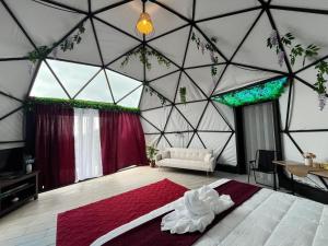 Ecoesferas Glamping