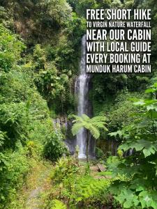 Munduk Harum Cabin