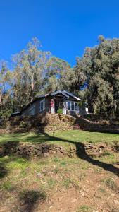 Springdale Villa