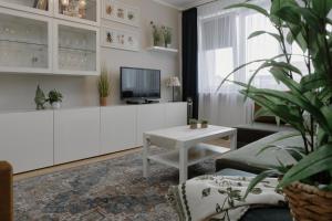 Widok 1 - przytulny apartament w sercu Wrocławia, przy Rynku, Fair Rentals
