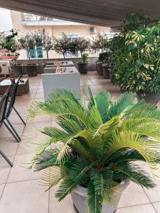 Cozy Central Patras Apartment with Large Private Terrace