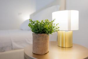 VivimiHome- Dalviano House