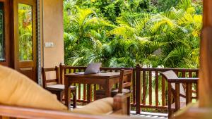 Bird Paradise Cabana