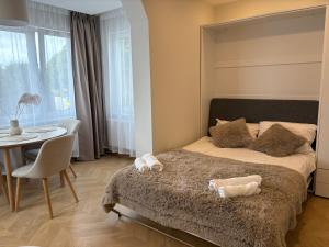 Cozy city centre apartment