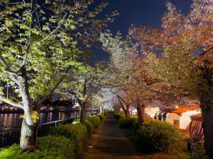 Hana京橋