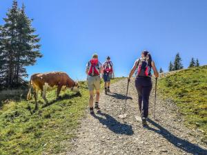Apartment in Brixental near Hiking Trails