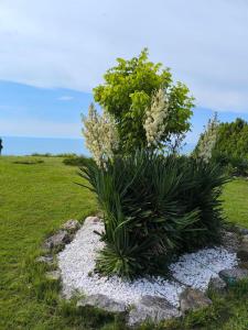Private Villa 102 with heated pool in BlackSeaRama