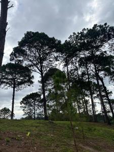 Selah Lodge Siguatepeque Hn