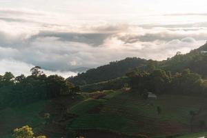 MonPhuView MonJam ม่อนภูวิว ม่อนแจ่ม