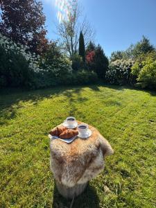 Widokowa Chata