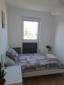 Spacious apartment 3 bedrooms 8 people