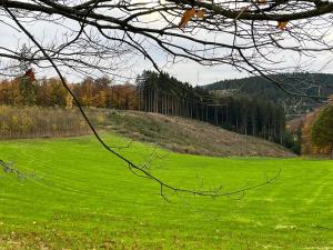 Suiten im Alten Berghotel Jakob