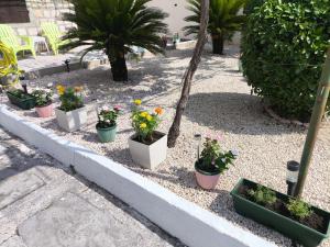 Trinity Apartment Seafront