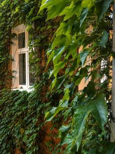 Rakowicka Suite - City Center & Main Station by Downtown Apartments