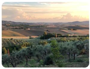 Campagna, mare, natura e spiritualità in Toscana
