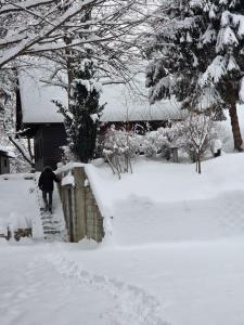 Haus im Wald