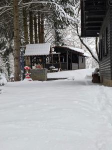 Haus im Wald